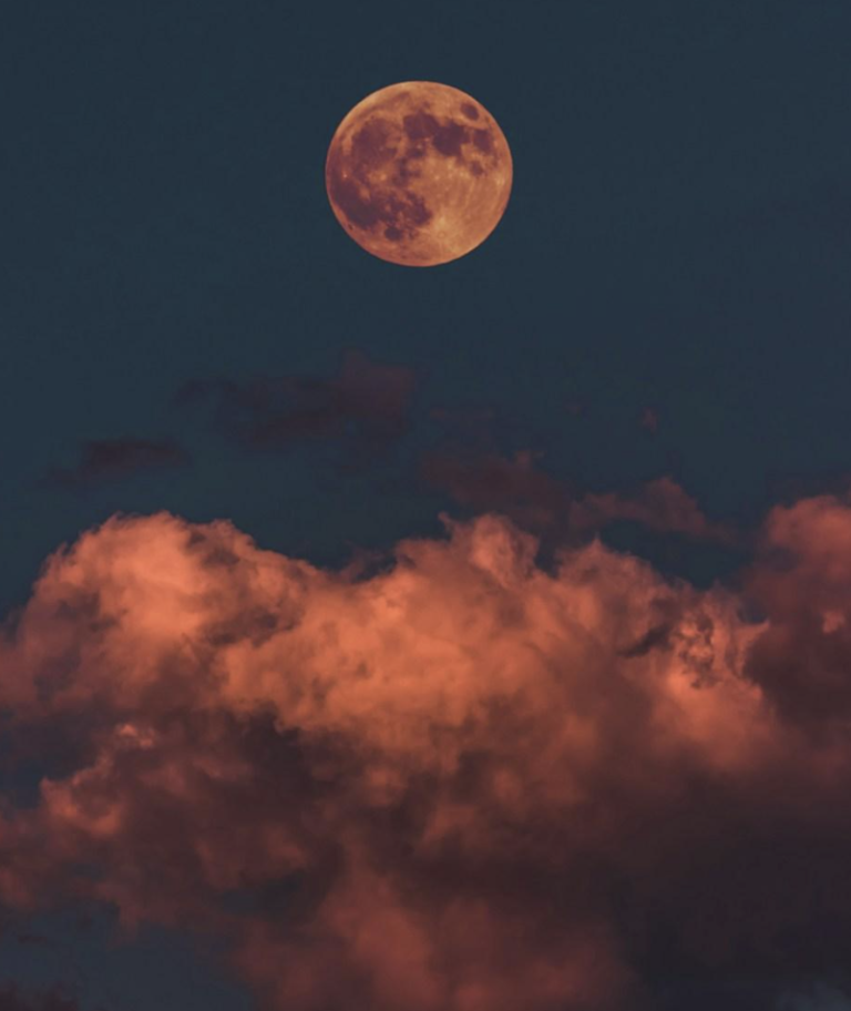 Why I Love Having an Acupuncture Practice in El Paso, My Hometown